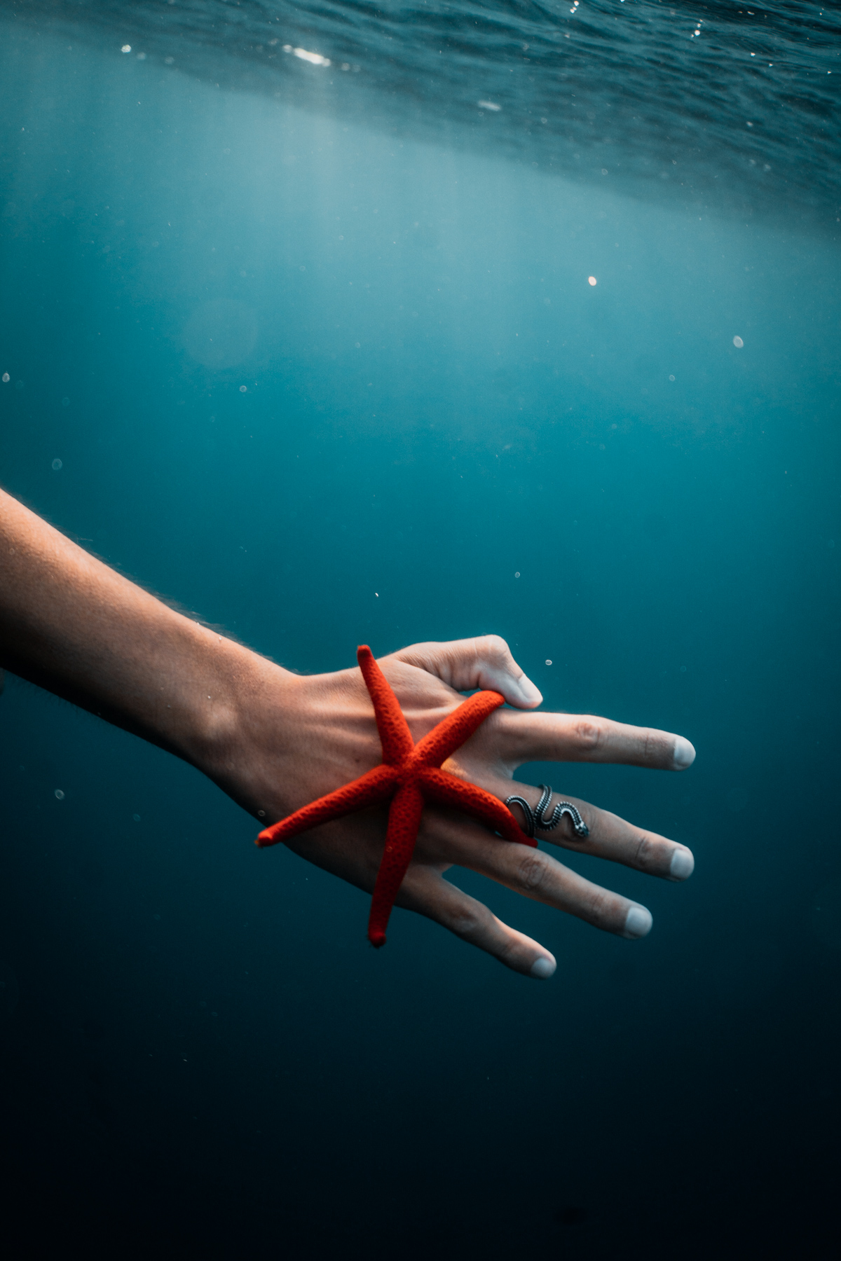 photographe underwater à marseille - séance photo sous marine