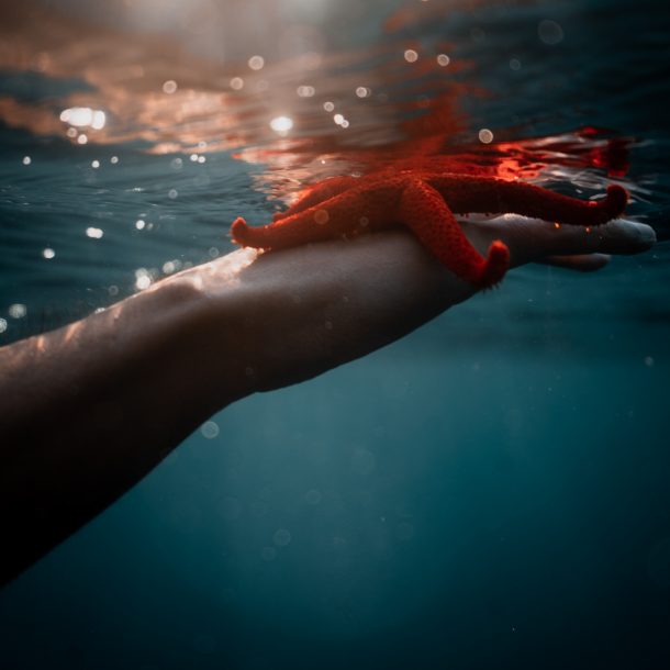 photographe underwater à marseille - séance photo sous marine