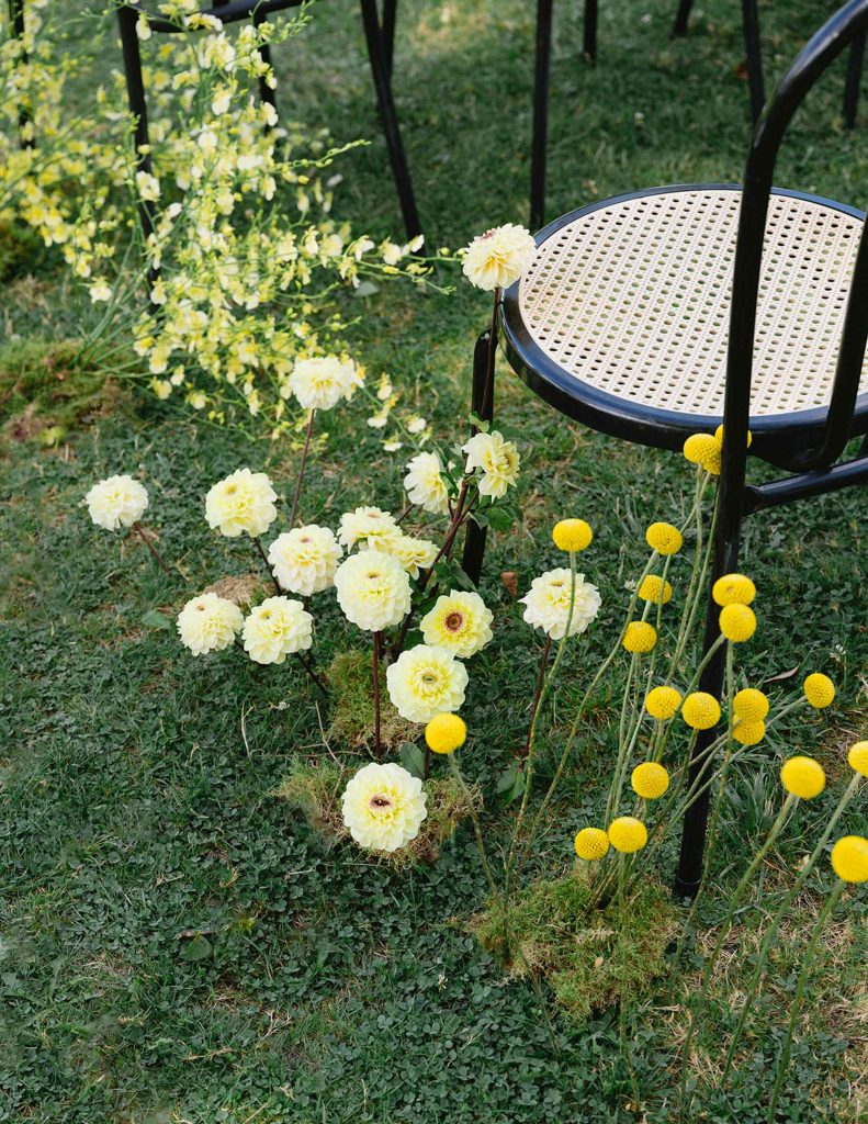 Sophia & William Wedding